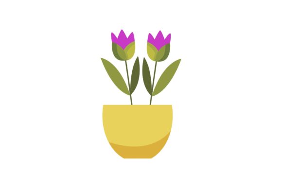 Beautiful Flowers in Colorful Pots Review