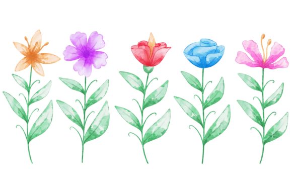 Flowers Watercolor Collection Review for Real Embroidery