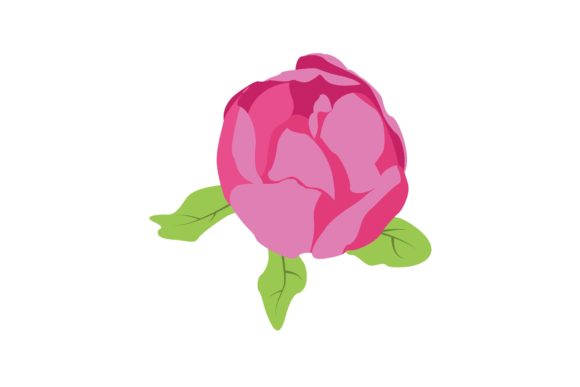 Garden Roses Digital Illustration for Modern Graphics