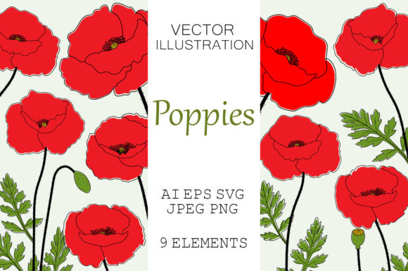 Poppies Flowers. Provence Flowers SVG Graphics and Illustrations Review
