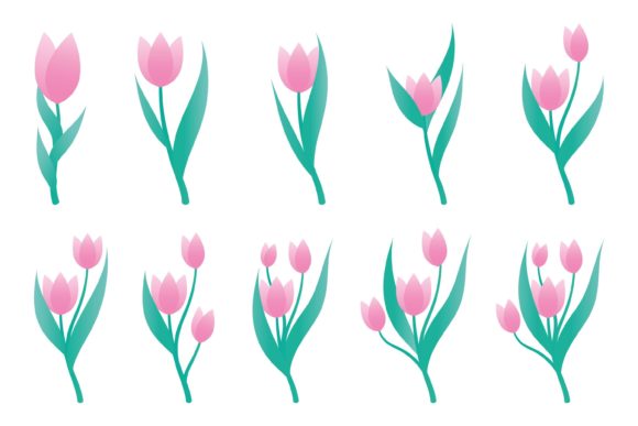 Tulips Flowers Vector Illustration Set for Graphics