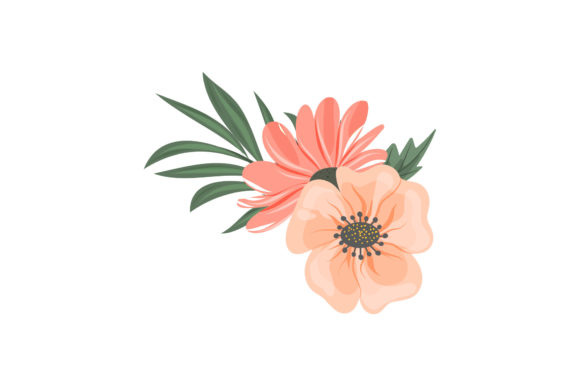 Two Flowers Beauty Graphics and Illustrations for Editorial Use